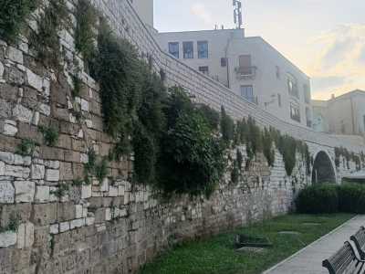La Muraglia di Bari, uno dei principali simboli del capoluogo pugliese, sta cadendo letteralmente a pezzi. Interi alberi di fico e di alianto, assieme a piante infestanti, continuano a crescere incontrollati tra i giunti della muratura calcarea creando seri problemi all�intera struttura